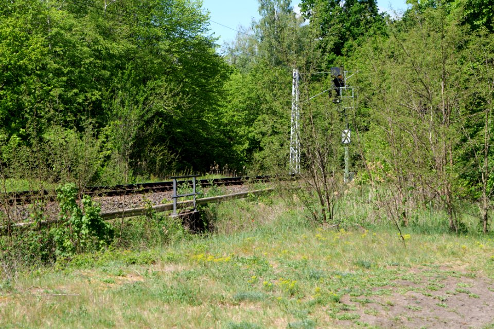 Bredower Forst nature reserve 2020-05-15 22