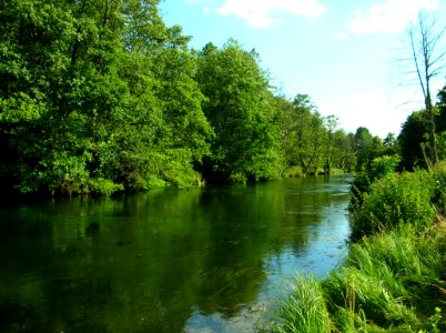 Brda w Opławcu 2005