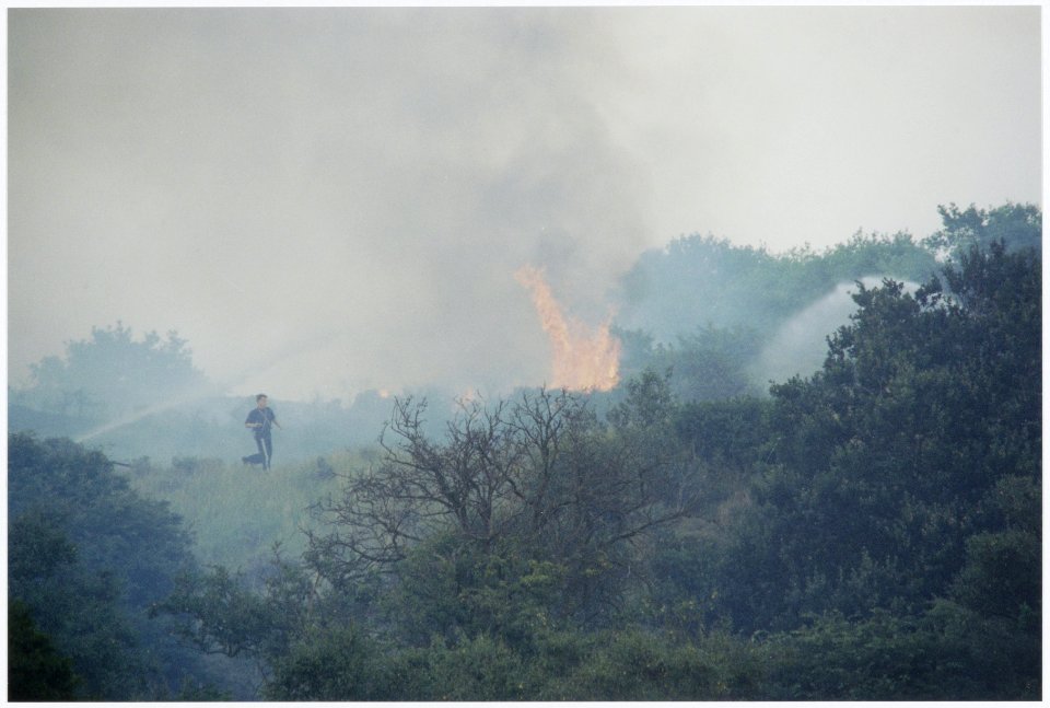 Brand in Kennemerduinen, NL-HlmNHA 54035201