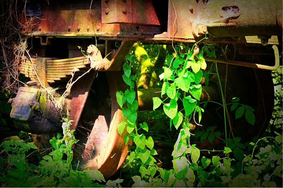 Wagon wheel train wild