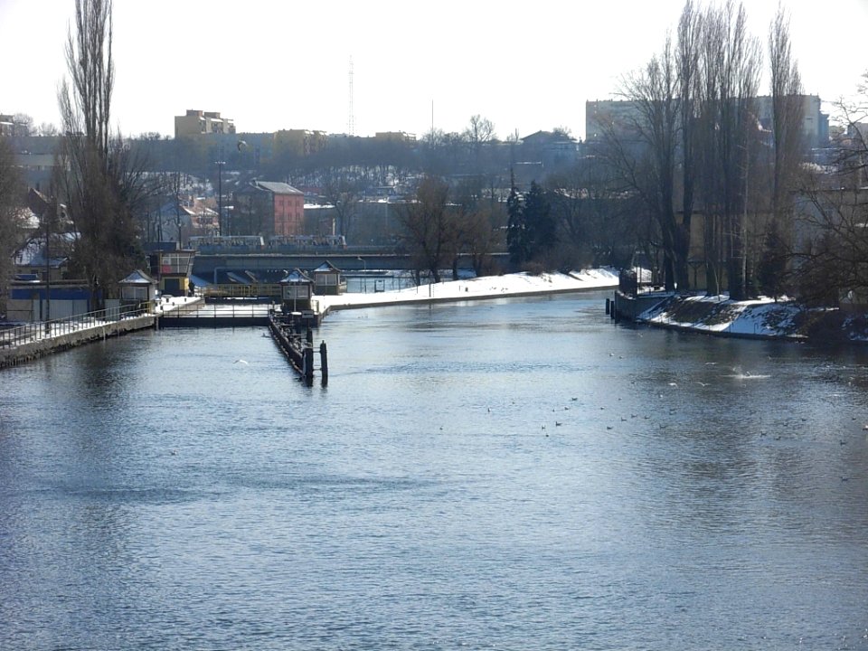 Brda&Młynówka z mostu WJ 03-2013