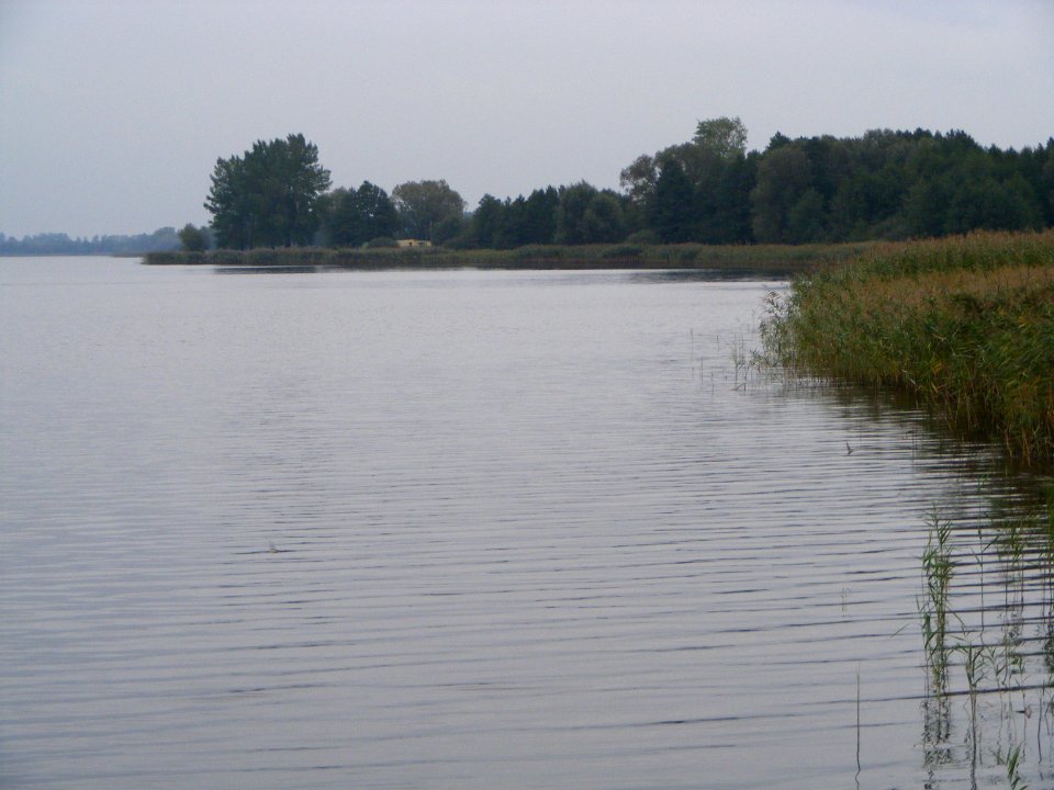 BRDÓW-004