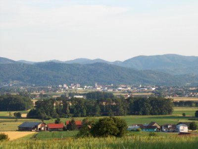Brežice 07