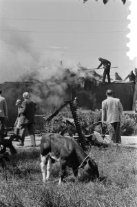 Brand in boerderij aan de Spaarnewouderdijk te Amsterdam, Bestanddeelnr 910-5395 photo