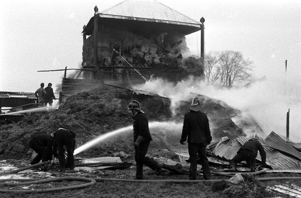 Brand op boerderij bij Schellingwoude, Bestanddeelnr 925-2390