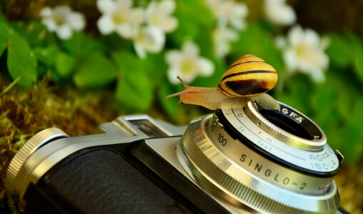 Agfa isola photograph nostalgia