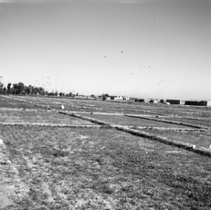 Bouwlanden, overzichten, Bestanddeelnr 250-8590