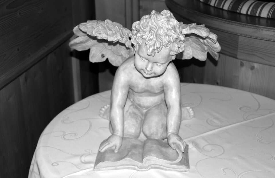Read book angel wings sweet