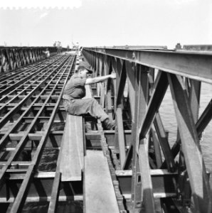 Bouw Baileybruggen in het Haringvliet, pantonniers zijn bezig de bruggen vast te, Bestanddeelnr 910-6183