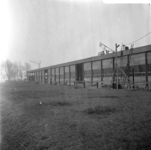 Bouw, Provisorium van Medische faculteit te Rotterdam, Bestanddeelnr 919-0526