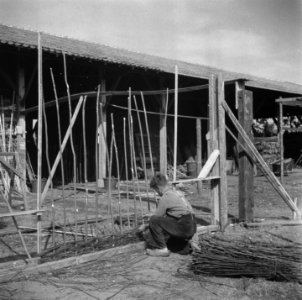 Bouw van noodwoningen bij Eindhoven, Bestanddeelnr 900-6324 photo