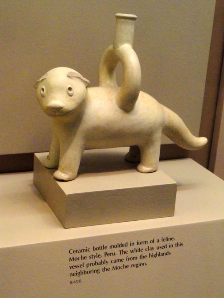 Bottle in feline form - Moche pottery in the American Museum of Natural History - DSC06076