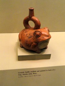 Bottle in toad form - Moche pottery in the American Museum of Natural History - DSC06078