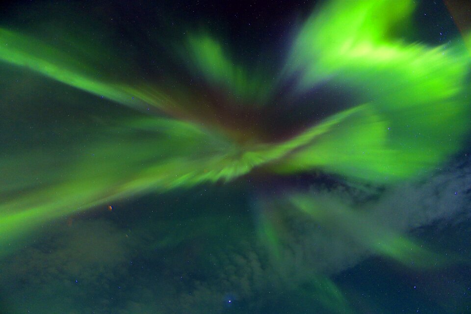 Borealis green winter