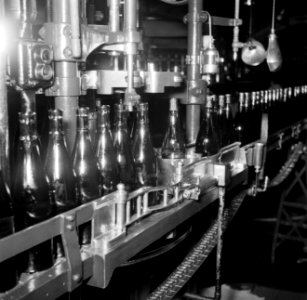 Bottelarij de flessen op de lopende band worden met wijn gevuld, Bestanddeelnr 252-9436