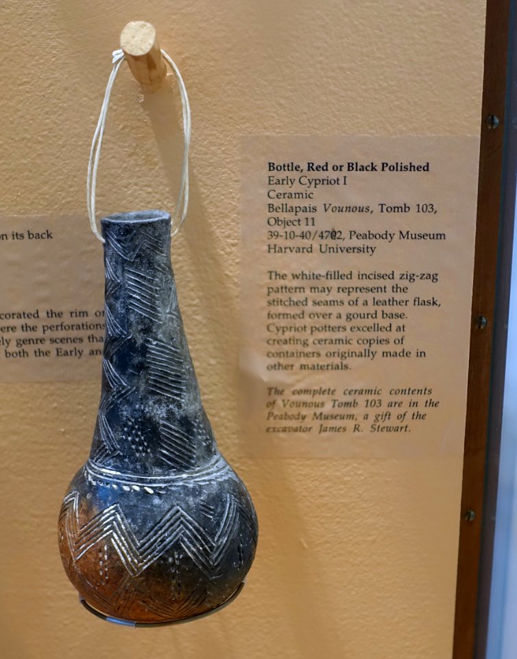 Bottle, Red or Black Polished, Object 11 from Bellapais Vounous, Tomb 103, Early Cypriot I, ceramic - Harvard Semitic Museum - Cambridge, MA - DSC06307