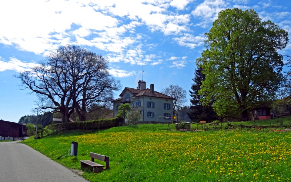 BottighofenKleinrigi