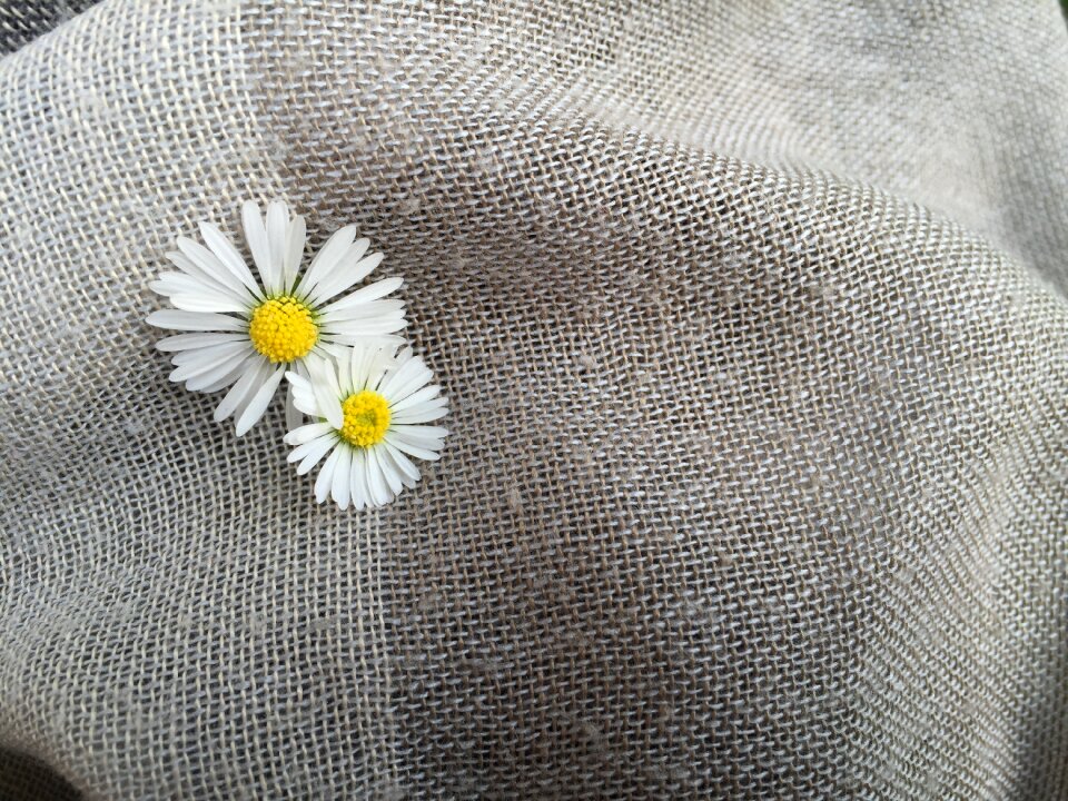 Background gray white