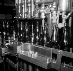 Bottelarij de flessen op de lopende band worden met wijn gevuld, Bestanddeelnr 252-9435