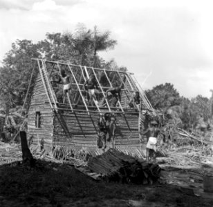 Bouw van een huis in een boslandcreooldorp, Bestanddeelnr 252-5879 photo