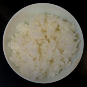 Bowl of white rice 02 photo