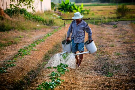 Vietnam farmer agriculture photo