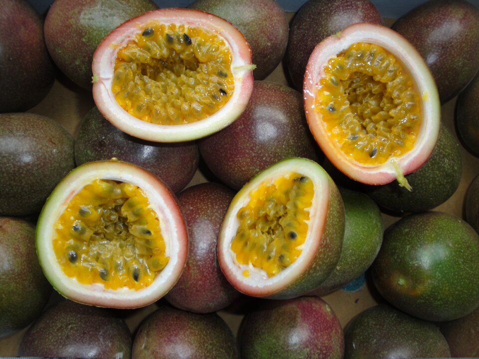 Tropical passion fruit fruit