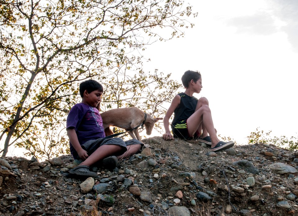 Boys Playing in San Juan River