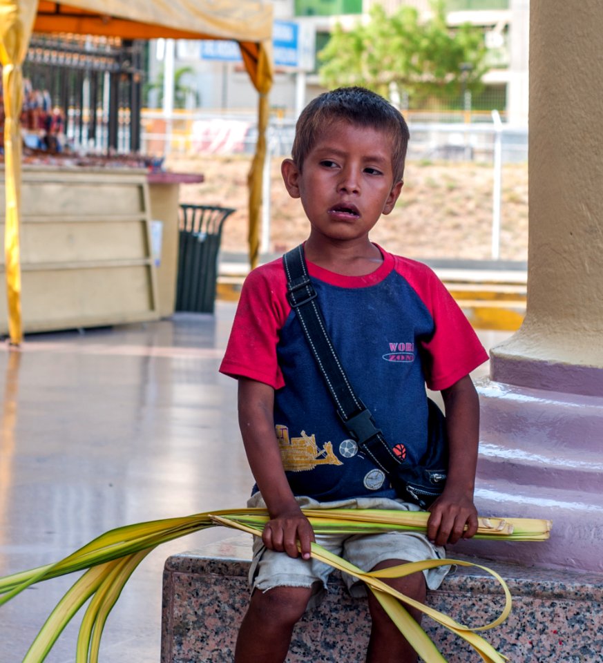 Boy Seller sacred palm