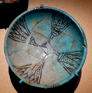 Bowl with Lotus Design - Egypt, Sawama tomb no. 49, New Kingdom, Dynasty 18, reign of Thutmose III to Amunhotep II, c. 1479-1400 BC, faience - Brooklyn Museum - Brooklyn, NY - DSC08707