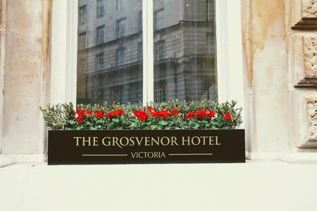 London mirroring flowers