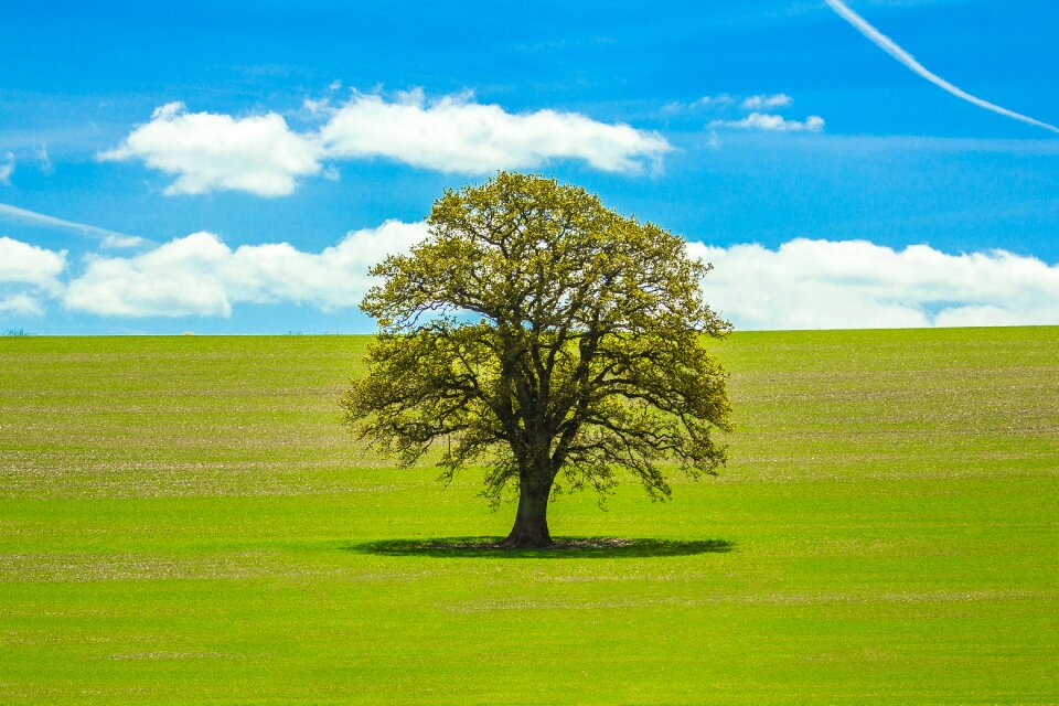 Country nature harmony