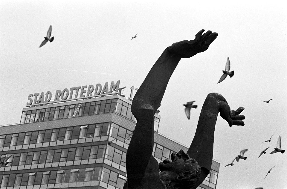 Bouw kantoorflat Stad Rotterdam, met beeld van Zadkine en duiven, Bestanddeelnr 913-9928