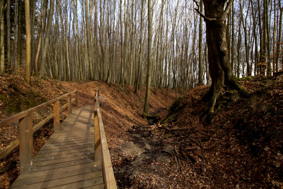 Brücke über Lenzer Bach (bei Sassnitz, Rügen)