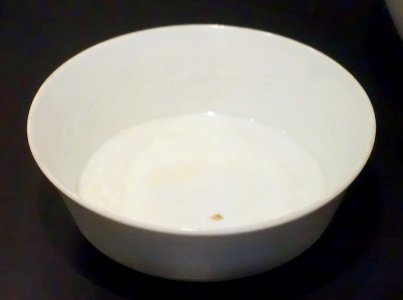 Bowl with molded flowers and signs Shu Fu, China, Shufu-ware, Yuan dynasty - Östasiatiska museet, Stockholm - DSC09459