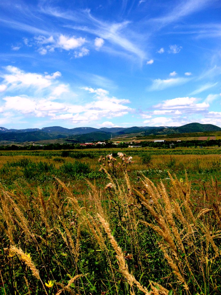 Bozovici, seen from the south (571B)