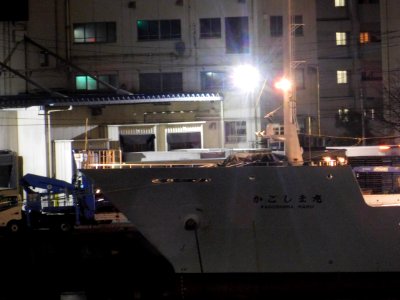 Bow of Kagoshima-maru the training ship of Kagoshima University 20170222 at pier Toyoumi of Tokyo