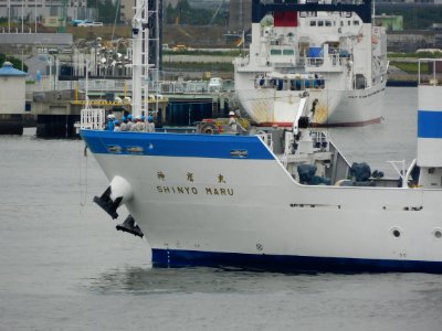 Bow of Shinyo-Maru IV the training vessel of Tokyo University of Marine Science and Technology