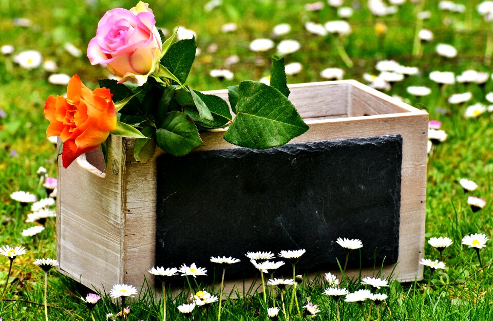 Greeting card all the best decoration