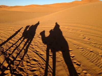 Sahara darkness camel photo