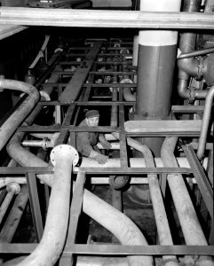 Bouw Rotterdam bij de RDM te Rotterdam, Bestanddeelnr 909-1954