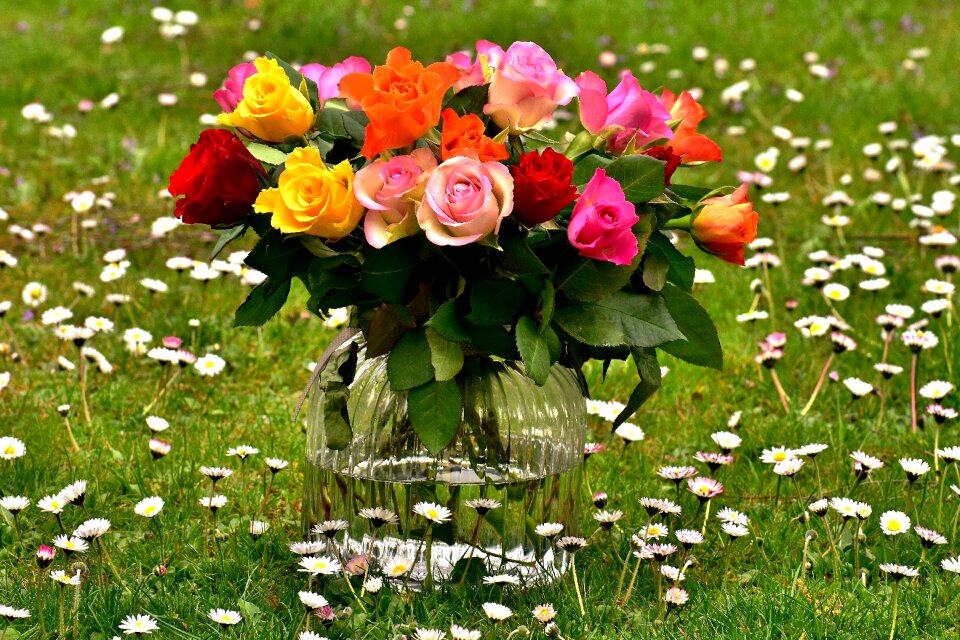 Vase colorful gift