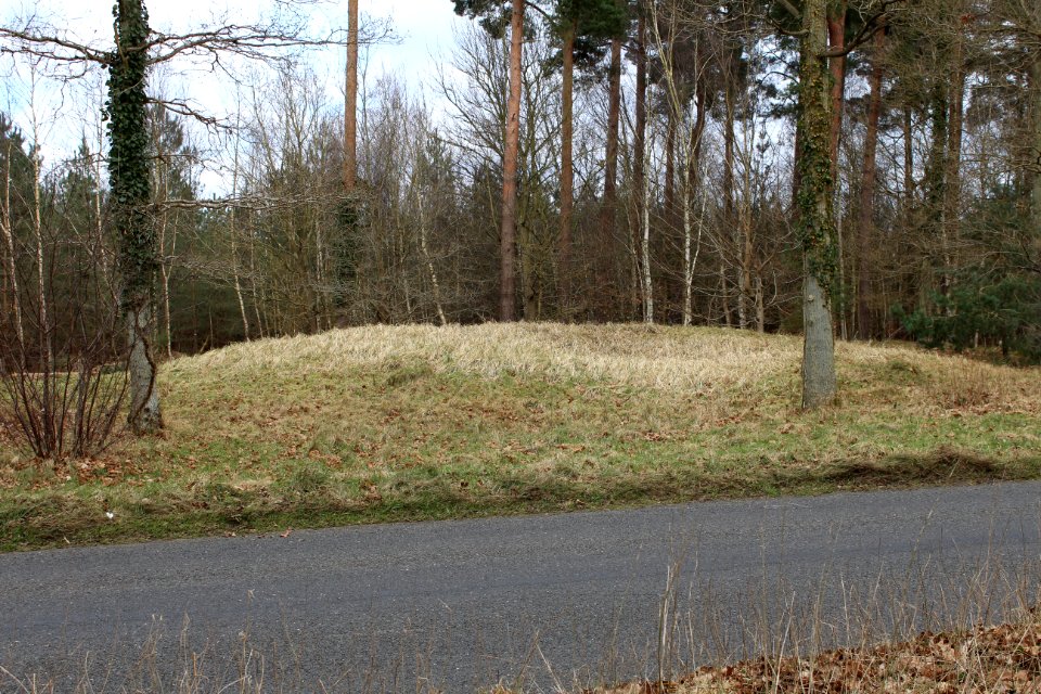 Bowl barrow 580m north east of The Lodge, Brandon