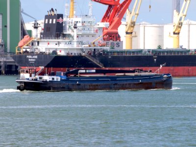 Bow 1, ENI 03340043, pic2