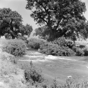 Bovenloop van de rivier de Jordaan met stroomversnelling en geboomte, Bestanddeelnr 255-0901