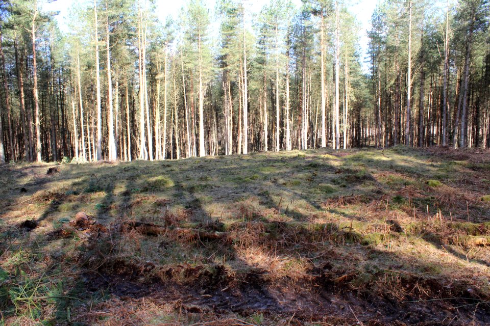 Bowl barrow 380m south west of Santon House