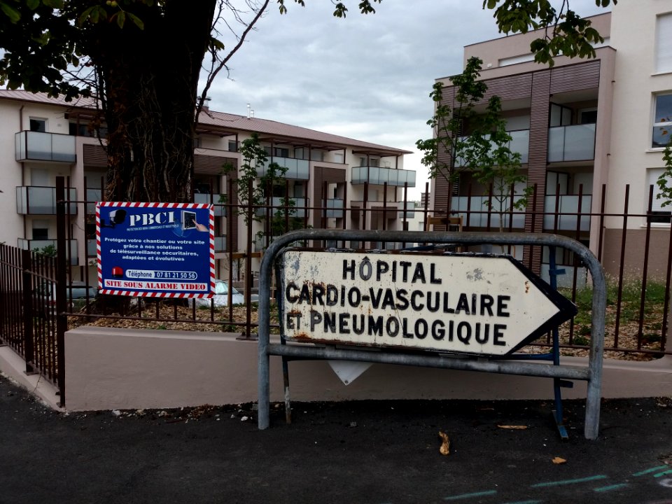 Bron - Avenue Doyen Jean Lépine, panneau Hôpital cardio-vasculaire et pneumologique