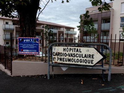 Bron - Avenue Doyen Jean Lépine, panneau Hôpital cardio-vasculaire et pneumologique