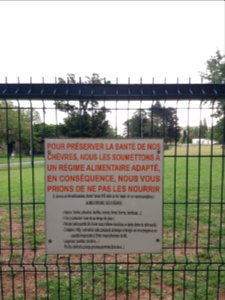 Bron - Le Vinatier - Plaque alimentation des chèvres
