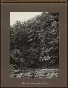 Bronnen Rumah Sumbul, Bestanddeelnr 808 04